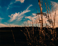 ddos压力在线测试平台