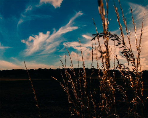 ddos压力在线测试平台